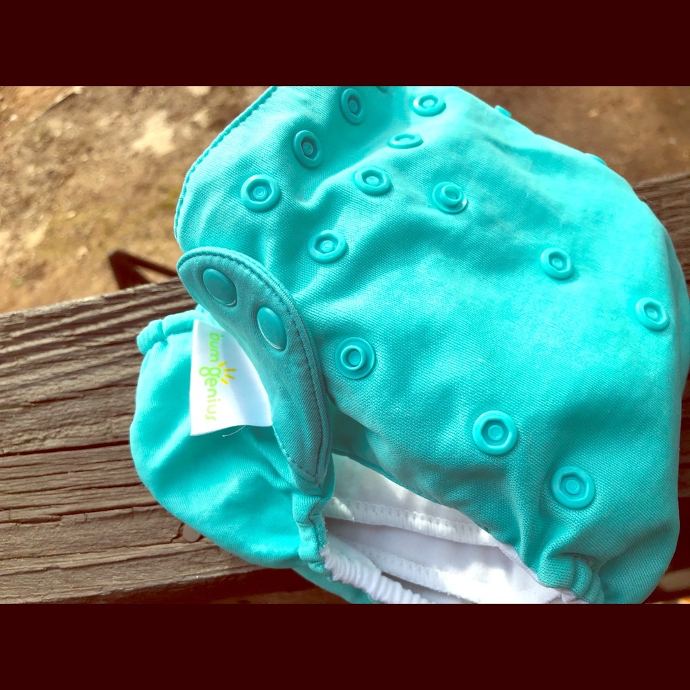 BumGenius 5.0 All In One Cloth Disper